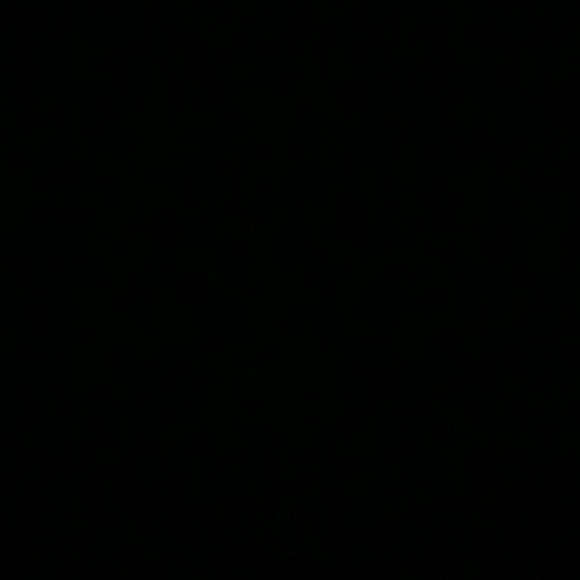 Meet the Posher Other - Meet your Posher, Carlos